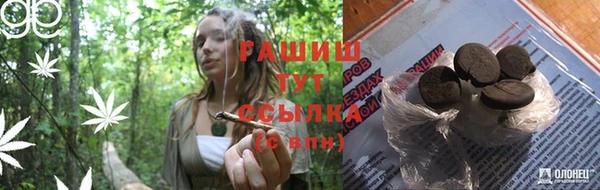 твердый Осинники