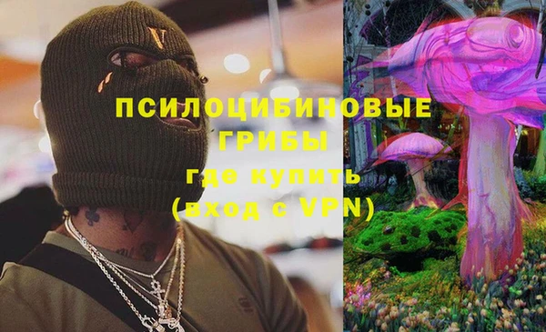 твердый Осинники