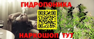 мет Дубна