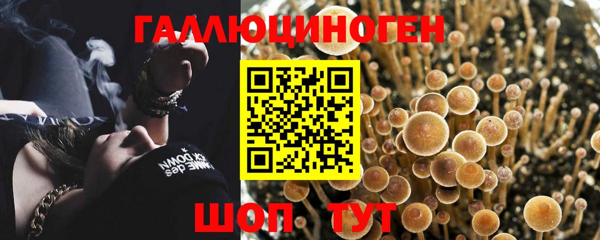 Галлюциногенные грибы прущие грибы  Вход с VPN  купить   Истра 